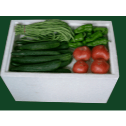 泡沫蔬菜箱|汉林泡沫|泡沫蔬菜箱供应商