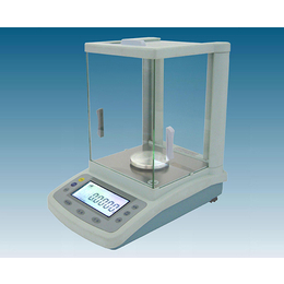 合肥电子天平-电子天平公司-合肥艺鑫(推荐商家)