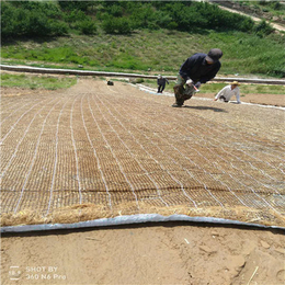 兰州厂家供应边坡绿化植物纤维毯 植被毯 椰丝毯