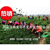 重庆麦麦冬草小叶绿化产地*缩略图1