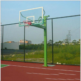 萍乡固定篮球架|广场用固定篮球架厂家*|冀中体育