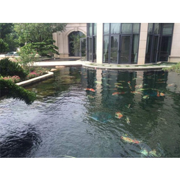 *花园鱼池设计,佛山金碧林,南雄花园鱼池