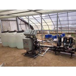 水肥一体机实力生产厂家SD-ZNX-A节水灌溉设备供应四川缩略图