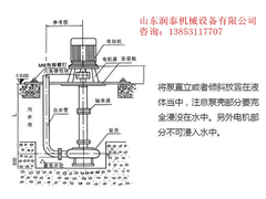 立式泵安装示意_副本.jpg