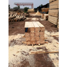 铁杉建筑口料规格、漯河铁杉建筑口料、山东木材加工厂