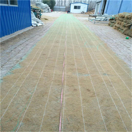 平顶山环保草毯厂家* 稻草植被毯 植物纤维毯 价格合理