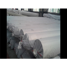 儒风土工膜(图)-长纤土工布生产厂家-和田长纤土工布