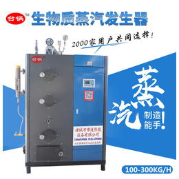 上海生物质蒸汽发生器厂家介绍-诸城博通热能