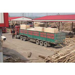 铁杉木方、辰丰木材加工厂价格、铁杉木方批发价格