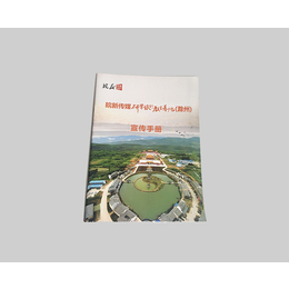 广东宣传册印刷、合肥本色、企业宣传册印刷