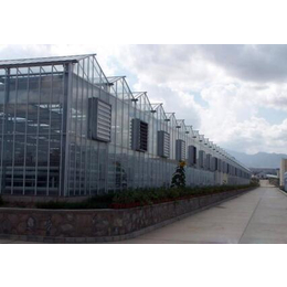 玻璃温室、通化温室、鑫华生态农业科技发展
