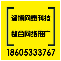 张店网络推广方法选网泰,淄博网泰科技,张店网络推广