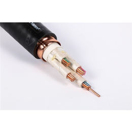 铝合金电缆品牌|津达线缆【持久*】|抚顺铝合金电缆