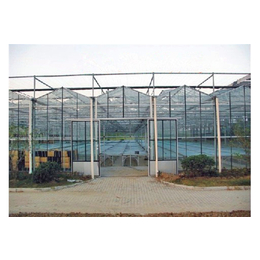 玻璃智能温室造价-瑞青农林-阿里玻璃智能温室