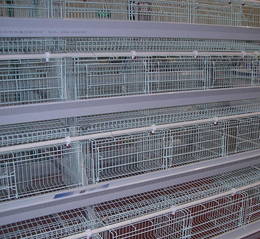 出售层叠式鸡笼-禽翔畜牧(在线咨询)-层叠式鸡笼