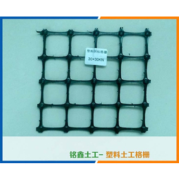 聚乙烯单向土工格栅-铭鑫工程材料-聚乙烯单向土工格栅出售