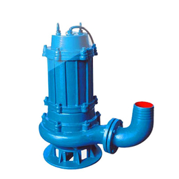 不锈钢排污泵、蓝升泵业(在线咨询)、潍坊排污泵