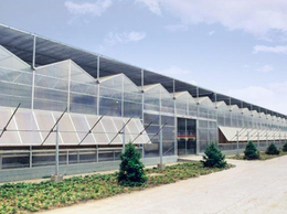 北京鑫秾薄膜连栋温室有进出口贸易权的大棚实体厂家	