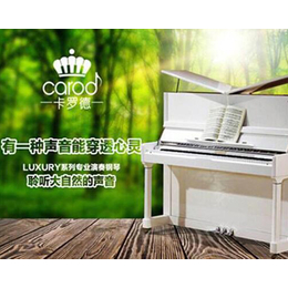 卡罗德钢琴回收价格_松吟乐器行(在线咨询)_迎泽区钢琴回收