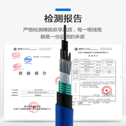 矿用光缆MGTSV-4B1 4芯单模阻燃蓝色光缆厂家*