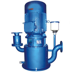 武威350WFB-A立式自吸泵-石保泵业
