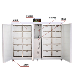 河南三门峡商用自动生豆芽机 小型的豆芽机 豆芽机自动恒温