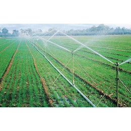 欣农科技公司(图)_湖北农业喷灌系统设备
