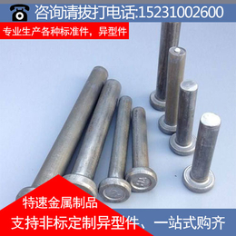 焊钉厂,特速金属制品(在线咨询),晋城焊钉
