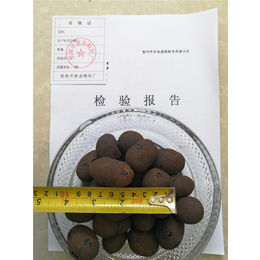 轻质陶粒价格、泸州陶粒、紫金建筑用陶粒(查看)