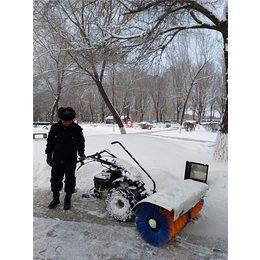 公路扫雪机_圣仕达(在线咨询)_昌都地区扫雪机