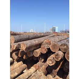 建筑木材市场-建筑木材-嘉航木业(查看)