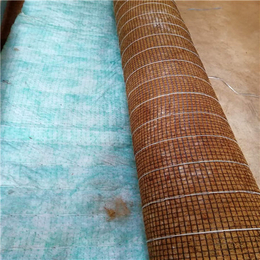 生态植生毯多少钱-植生毯-江苏植生毯(查看)