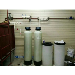 经销洗衣液10吨软化水处理设备 钠离子交换设备 全自动软水器