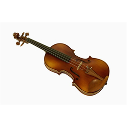 高中生学小提琴,音妙艺术传播中心(在线咨询),南宁学小提琴