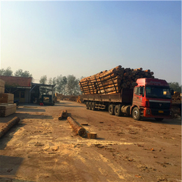 日照中林木材(图)、木材加工价格、莱芜木材加工