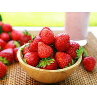 教你怎么种植硕大果美味道甜的草莓
