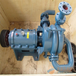 压滤机入料泵|河北冀泵源(图)|压滤机入料泵厂家