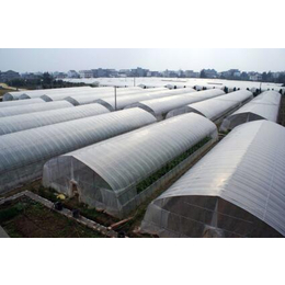 阿坝温室|鑫华生态农业科技|温室制造