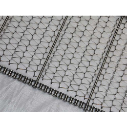 铝片清洗钢丝网输送带|不锈钢丝编织网带|南阳输送带