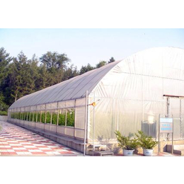 鑫华生态农业科技发展、玉林温室、薄膜连栋温室