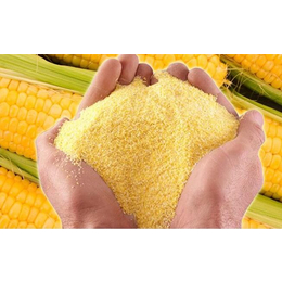 玉米面粉厂|乔氏面粉(在线咨询)|玉米面