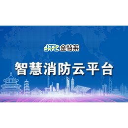 长沙品牌智慧消防云平台、智慧消防云平台、【金特莱】(图)