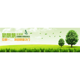 氧**硅藻泥(图)|徐州区域硅藻泥代理|区域硅藻泥代理