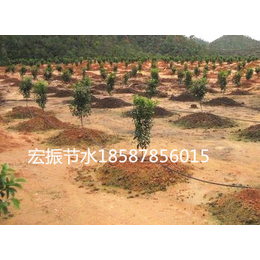 玉林滴灌灌溉、南宁宏振灌溉公司、现代农业灌溉技术