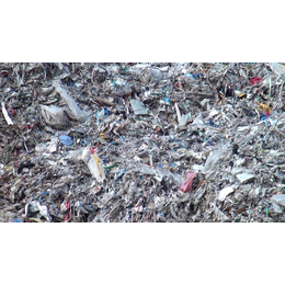 垃圾塑料清洗设备批发-葫芦岛垃圾塑料清洗设备-山东金双联