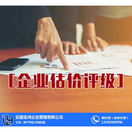 安徽宝鸿(在线咨询)-深圳企业估价评级-企业估价评级分析
