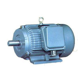 大中电机(图)|高压电动机的保护定值|福建高压电动机