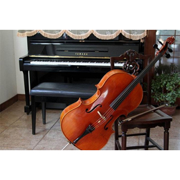 南宁大提琴课程|音妙艺术传播中心|大提琴课程