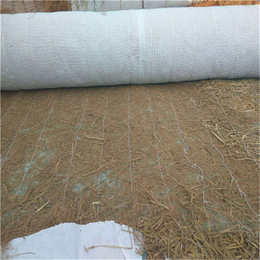 山西临汾供生产 环保草毯矿山* 椰丝植被毯 *