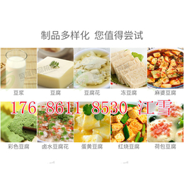 长沙全自动豆腐机代售点 大型豆腐机厂家 蔬菜豆腐机